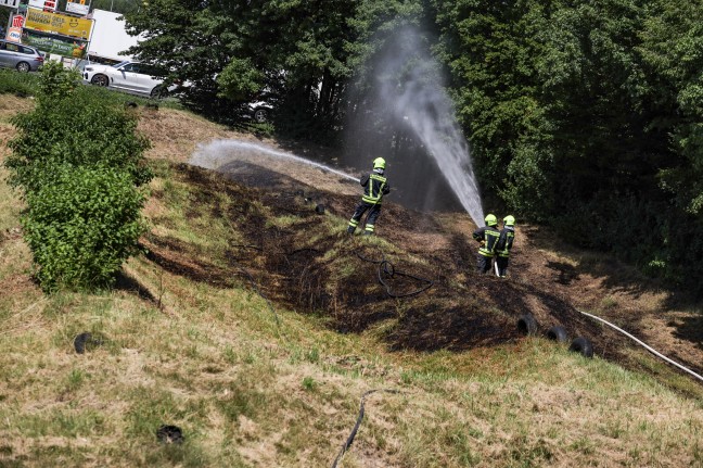 Zwei Feuerwehren bei Brand einer Wiesenfläche in Ansfelden im Einsatz