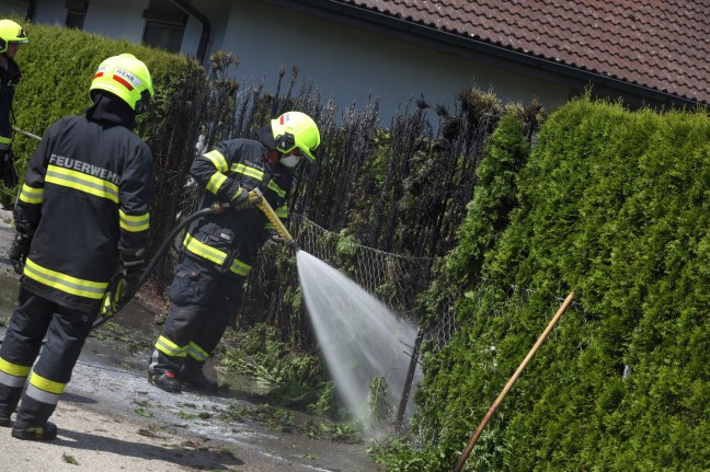 Brand einer Thujenhecke in Weißkirchen an der Traun