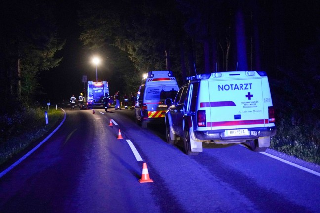Frontal gegen Baum: Alkolenker flüchtet nach schwerem Crash bei Moosdorf vom Unfallort