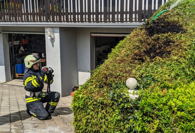 Hausbesitzer verhindert erfolgreich größeren Brand einer Thujenhecke in Handenberg