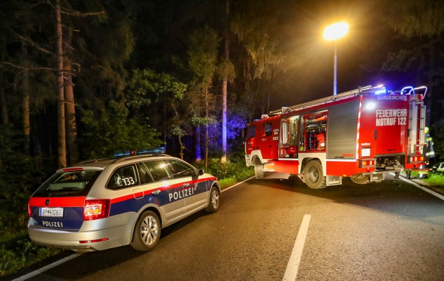 Auto gegen Baum: Schwerer Verkehrsunfall in einem Waldstück bei Burgkirchen