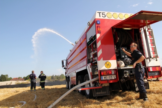 Feuerwehr bei neuerlichem Feld- und Flurbrand in Wels-Neustadt im Einsatz