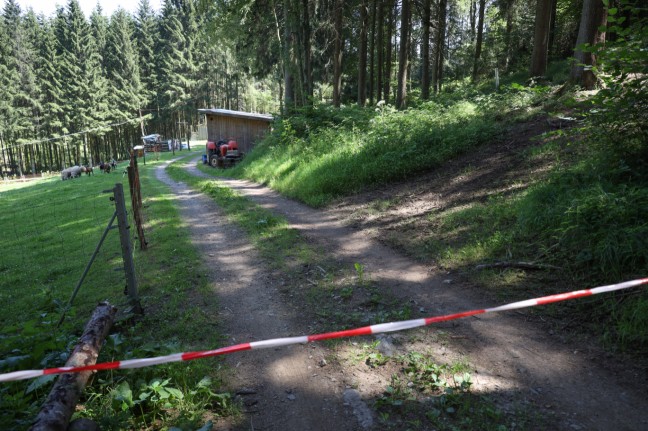 Tatverdächtiger nach Mord in Neustift im Mühlkreis tot in Linzer Gefängniszelle aufgefunden