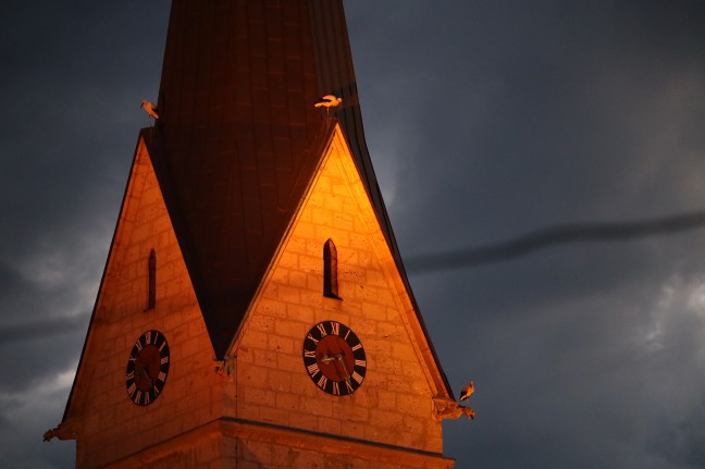 Imposantes Naturschauspiel: Störche auf Kirchendach und Turmdrehkran in Weißkirchen an der Traun