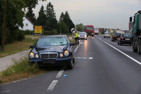 Tödlicher Verkehrsunfall mit Fußgängerin in Marchtrenk