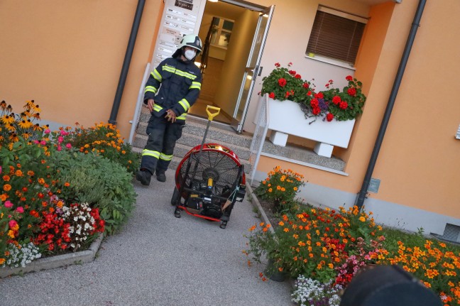 Brand in der Küche einer Mehrparteienhauswohnung in Grieskirchen sorgt für Einsatz der Feuerwehr