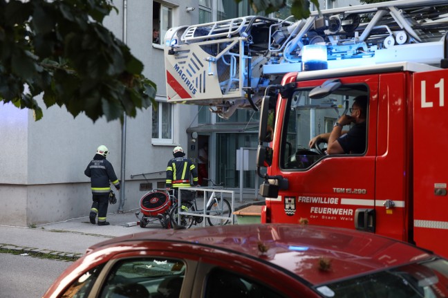 Bewohnerin und zwei Katzen in Wels-Neustadt durch Feuerwehr aus Brandwohnung gerettet