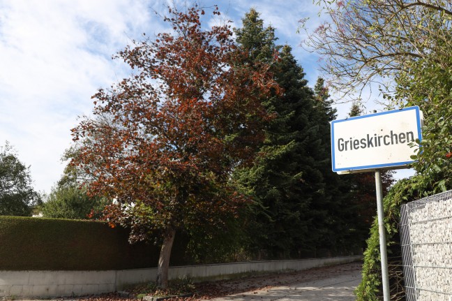 Personenrettung: Mann steckte in einem Garten in Grieskirchen in einem Baum fest