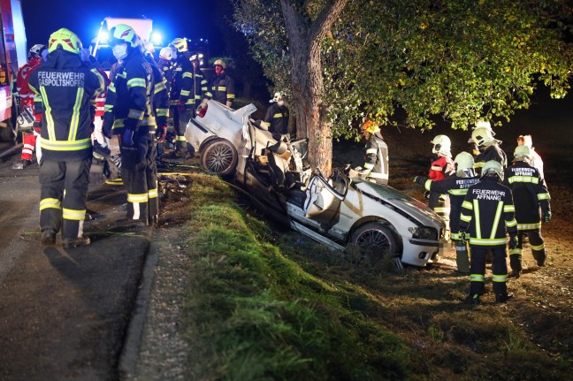 Frontal gegen Baum: Verkehrsunfall in Gaspoltshofen fordert zwei Schwerverletzte