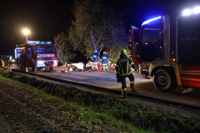 Frontal gegen Baum: Verkehrsunfall in Gaspoltshofen fordert zwei Schwerverletzte