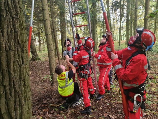 Tierhilfe und Höhenretter der Feuerwehr holten Kater "Ossi" in Waldstück bei Engerwitzdorf vom Baum