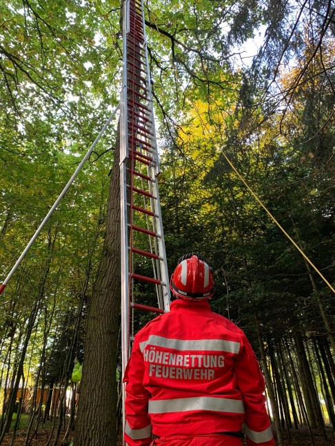 Tierhilfe und Höhenretter der Feuerwehr holten Kater "Ossi" in Waldstück bei Engerwitzdorf vom Baum
