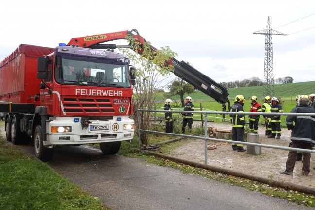 Pferd konnte nach Sturz in einen Brunnenschacht in Gunskirchen nur mehr tot geborgen werden