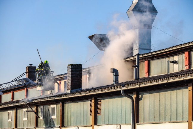 Drei Feuerwehren bei Brand im Dachbereich einer Firmenhalle in Asten im Einsatz
