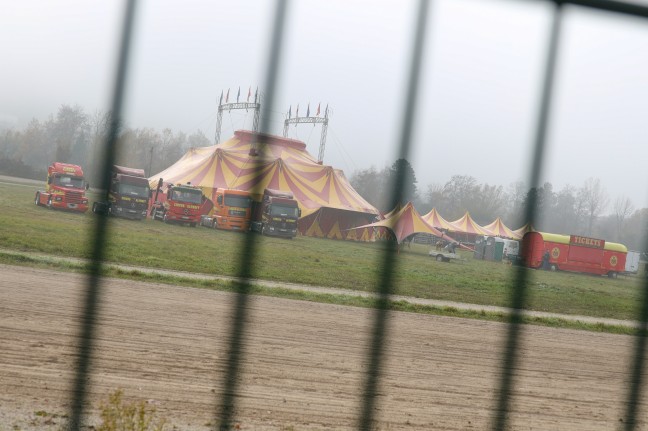 Situation für Zirkus prekär: "Vom ersten Lockdown sozusagen direkt in den zweiten Lockdown"