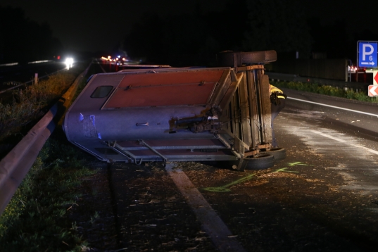 Nach Unfall entlaufenes Pferd verursachte mehrere Unflle auf der Welser Autobahn