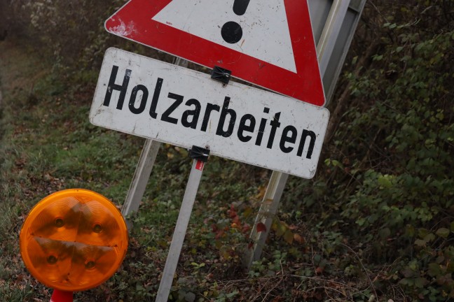 Gefahrensituation: Feuerwehr zu Untersttzung bei Holzarbeiten in Thalheim bei Wels alarmiert