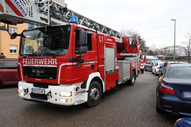 Brandstiftung: Feuerwehr bei Bränden in einer Wohnhausanlage in Wels-Vogelweide im Einsatz