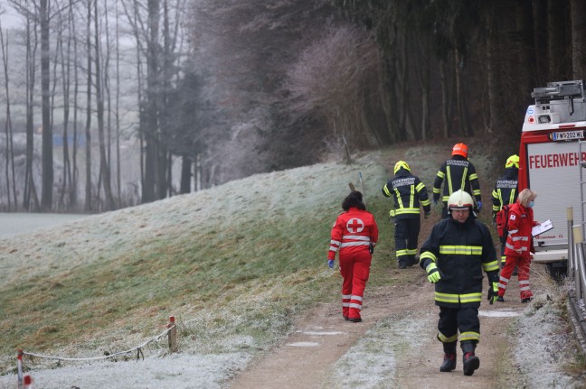 Tödlicher Forstunfall in einem Waldstück in Offenhausen