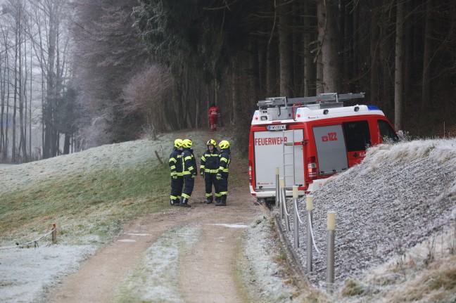 Tödlicher Forstunfall in einem Waldstück in Offenhausen