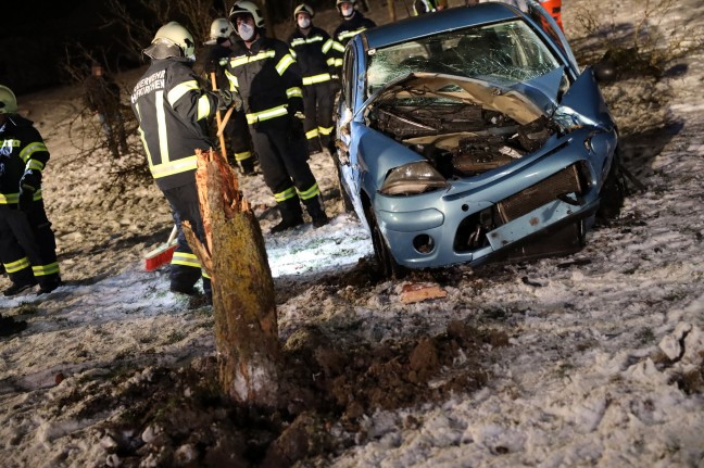 Auto in Hofkirchen im Traunkreis von der Straße abgekommen und gegen Obstbaum gekracht