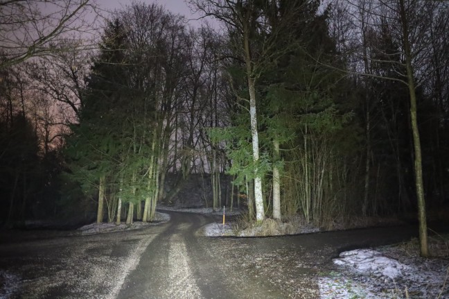 Tödlicher Forstunfall: Frau (51) in St. Marienkirchen am Hausruck von umfallenden Baum erschlagen
