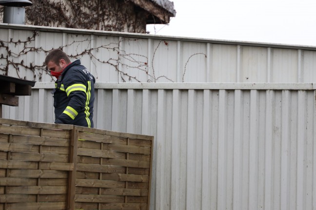 Tierrettung: Kater "Mogli" verirrte sich in Wels-Vogelweide ins Materiallager eines Unternehmens