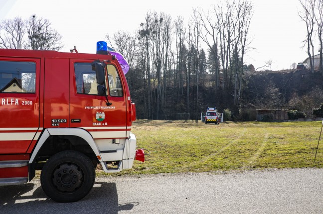 Tödlicher Forstunfall: Mann bei Waldarbeiten in Haag am Hausruck von Baum getroffen