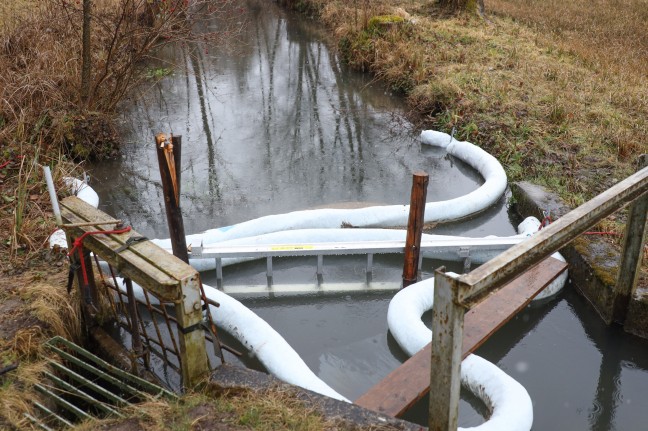 Längerer Einsatz durch Gewässerverunreinigung im Kößlwanger Bach in Bad Wimsbach-Neydharting