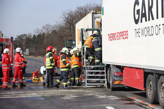 Schwerst eingeklemmter LKW-Lenker nach LKW-Kollision auf Welser Autobahn bei Wels