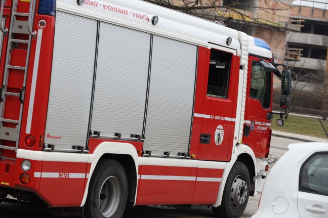 Feuerwehr fischte "auf Einladung der Polizei" in Wels-Lichtenegg im Mühlbach