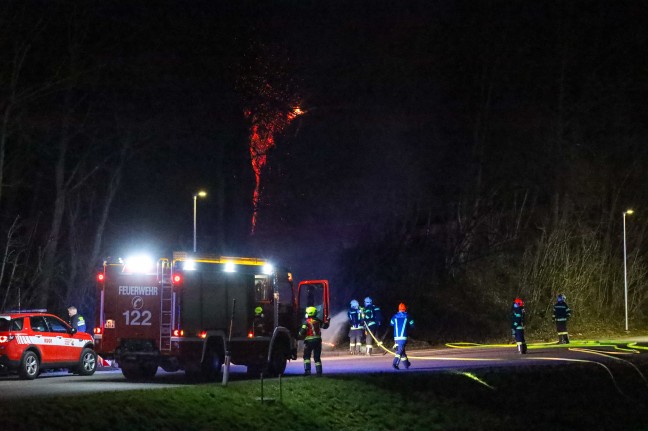 Schwieriger Löscheinsatz bei Brand eines Baumes in Thalheim bei Wels