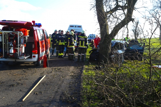 Schwerer Verkehrsunfall in Ansfelden - PKW kracht in einen Baum