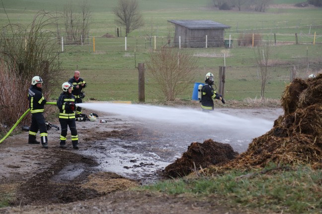 Drei Feuerwehren bei Brand eines überdimensionalen Misthaufens in Hellmonsödt im Einsatz