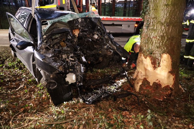 Frontal gegen Baum: Junge Autolenkerin bei Verkehrsunfall in Waldneukirchen schwerst verletzt