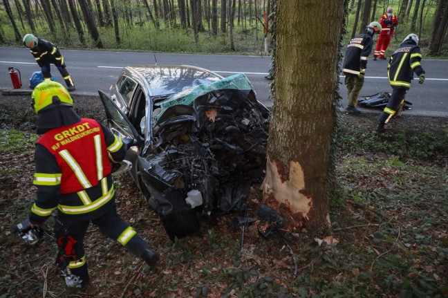 Frontal gegen Baum: Junge Autolenkerin bei Verkehrsunfall in Waldneukirchen schwerst verletzt