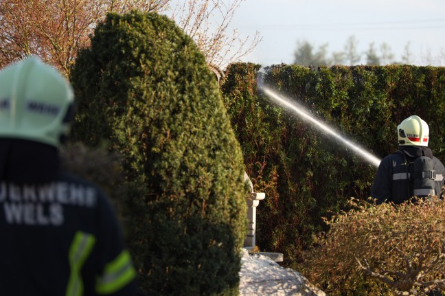Feuerwehr bei Brand einer Thujenhecke in Wels-Puchberg im Einsatz