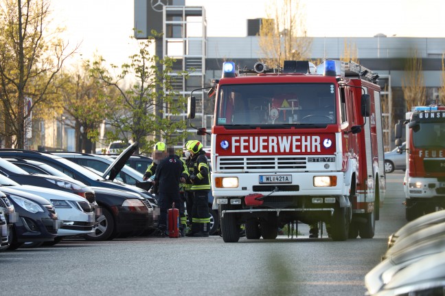 Feuerwehr bei PKW-Brand auf Parkplatz eines Unternehmens in Gunskirchen im Einsatz