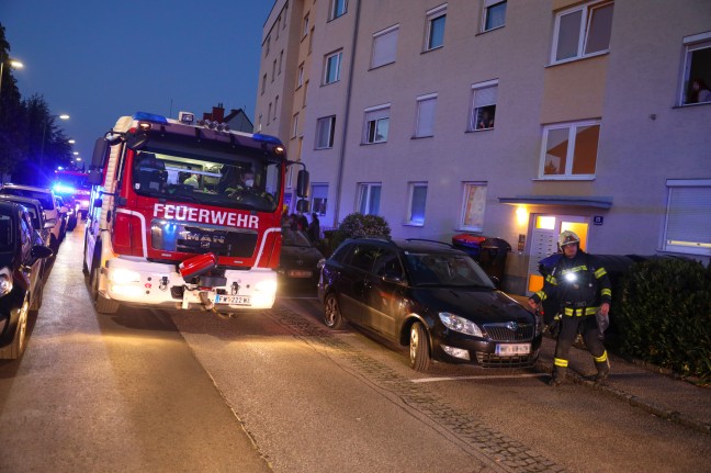 Einsatz der Feuerwehr nach wahrgenommener Rauchwolke in Wels-Vogelweide