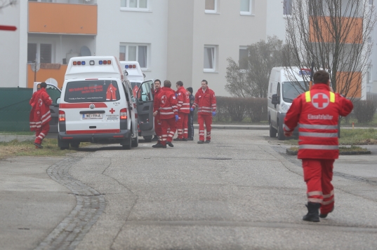 Drei Verletzte durch Kohlenmonoxidvergiftung in Wels-Pernau