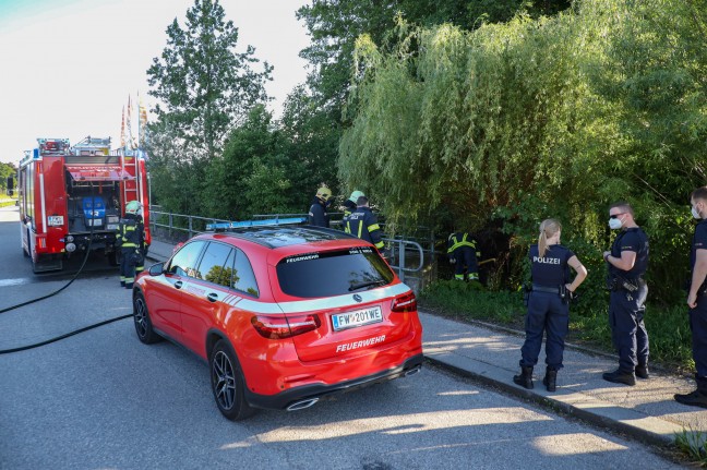 Brand eines hohlen Baumstammes in Wels-Neustadt