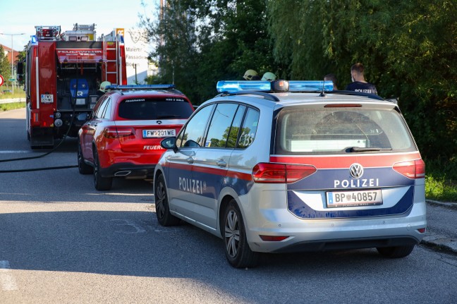 Brand eines hohlen Baumstammes in Wels-Neustadt