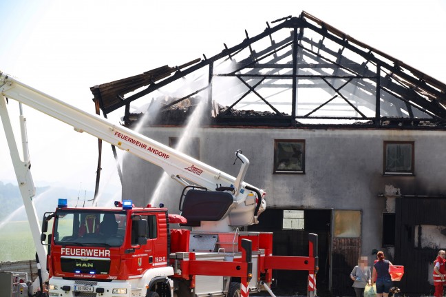 Elf Feuerwehren bei Großbrand eines Stallgebäudes in Taufkirchen an der Pram im Einsatz