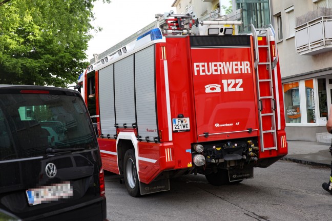 Brand eines Baumstumpfes vor einer Volksschule in Wels-Vogelweide