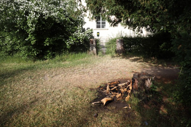 Brand eines Baumstumpfes vor einer Volksschule in Wels-Vogelweide