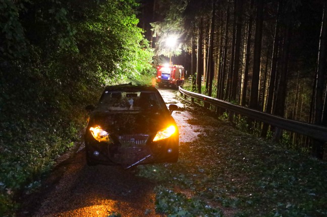 Oberösterreich lokal erneut von schweren Hagelunwettern getroffen