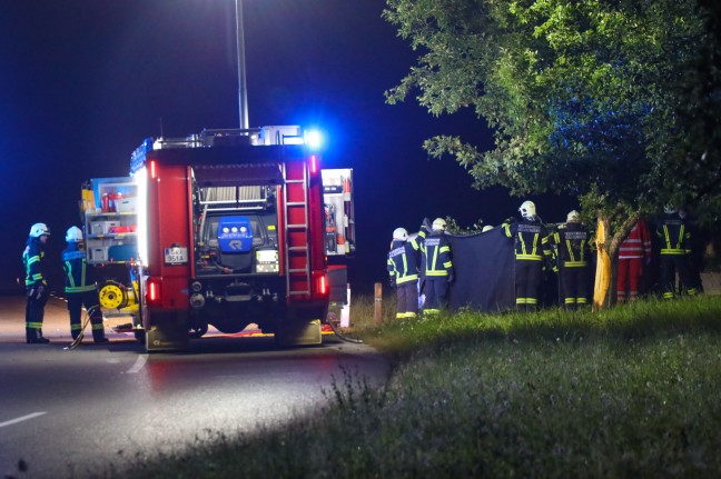 Tdlicher Verkehrsunfall: Kleintransporter bei Heiligenberg gegen Baum gekracht