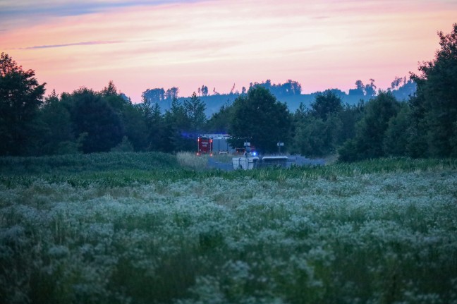 Einsatzkrfte der Feuerwehr bei vermutetem Flurbrand in Wels im Einsatz