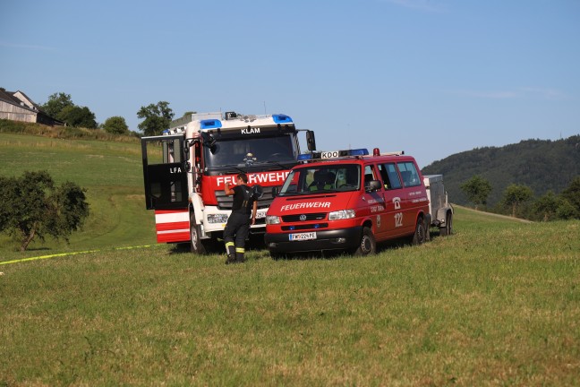 Fünf Feuerwehren bei Feldbrand in Grein im Einsatz