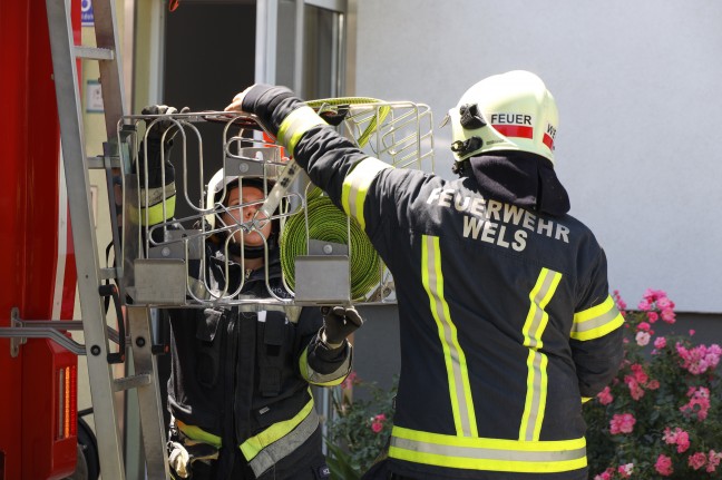 Küchenbrand in Wels-Vogelweide: Mieter durch Feuerwehrmann als Ersthelfer aus Brandwohnung gerettet
